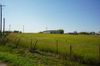 3100 FM 972 photo